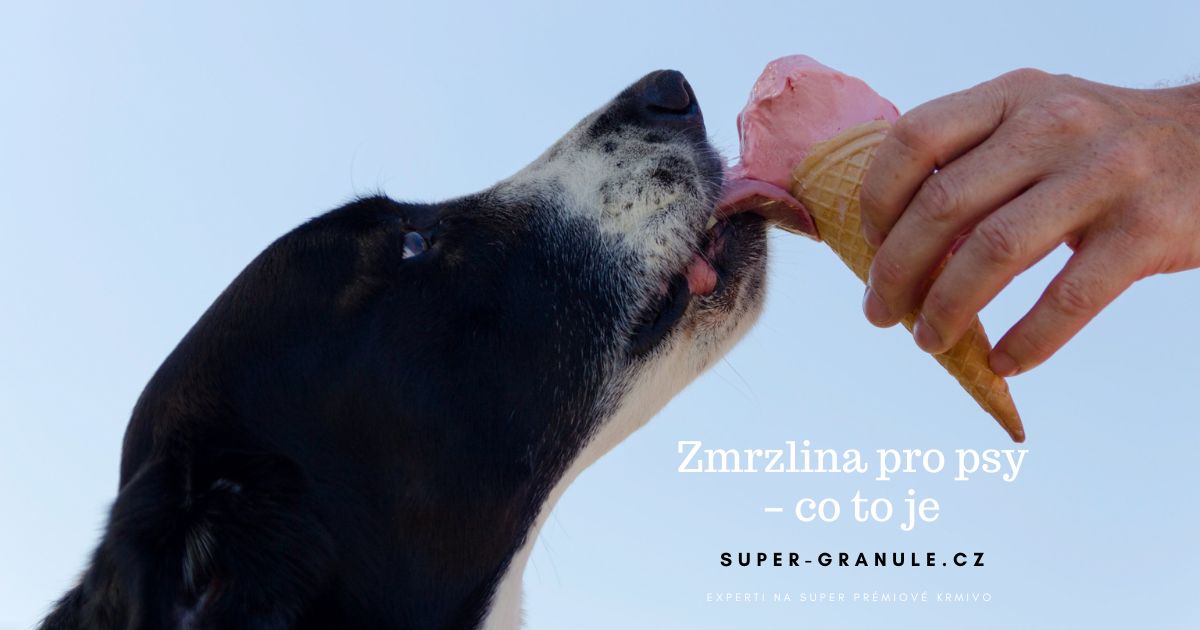 zmrzlina-pro-psy (3)